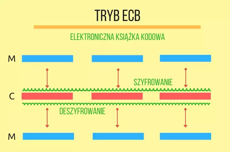 ecb.webp